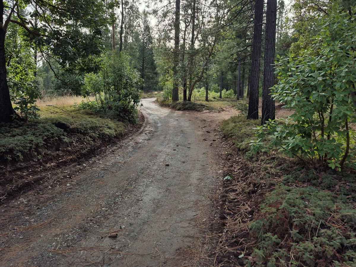 South Volcanoville (13N56) photo 2