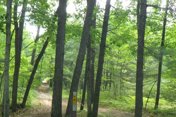 West Higgins Trail - North Border, 14485, and 14487