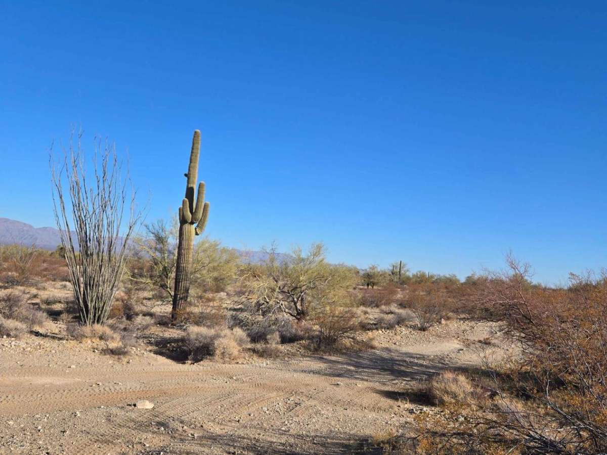 HS18Q / HS13P trail photo