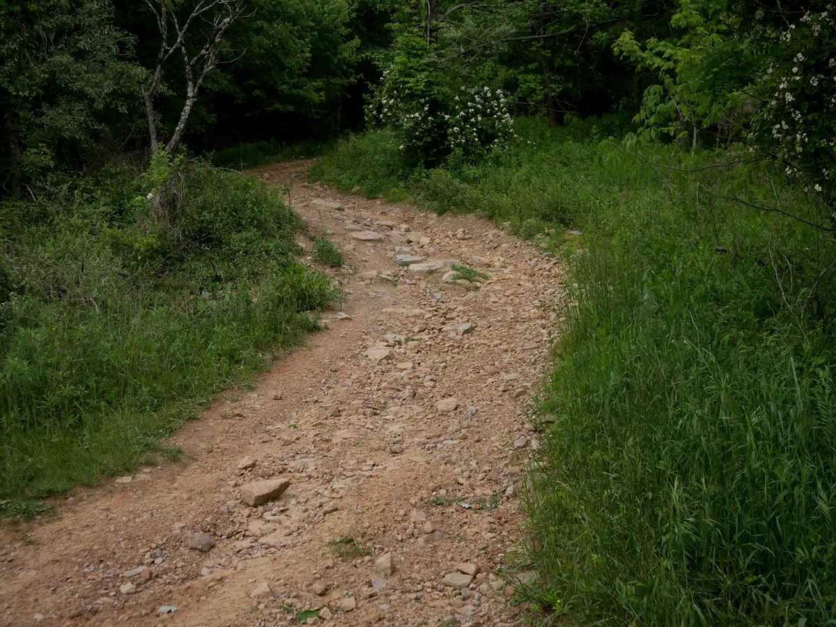 MV10 photo 6
