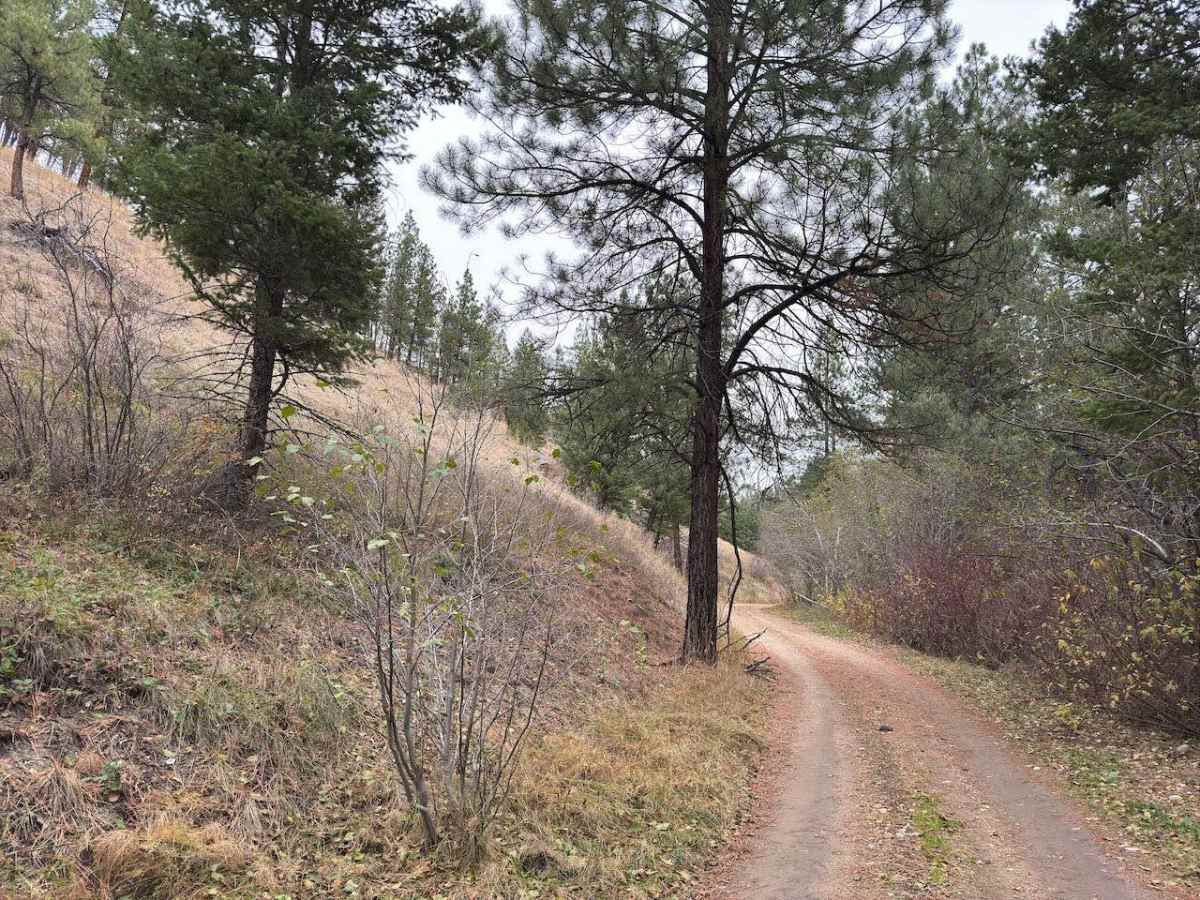 Robins Gulch photo 3