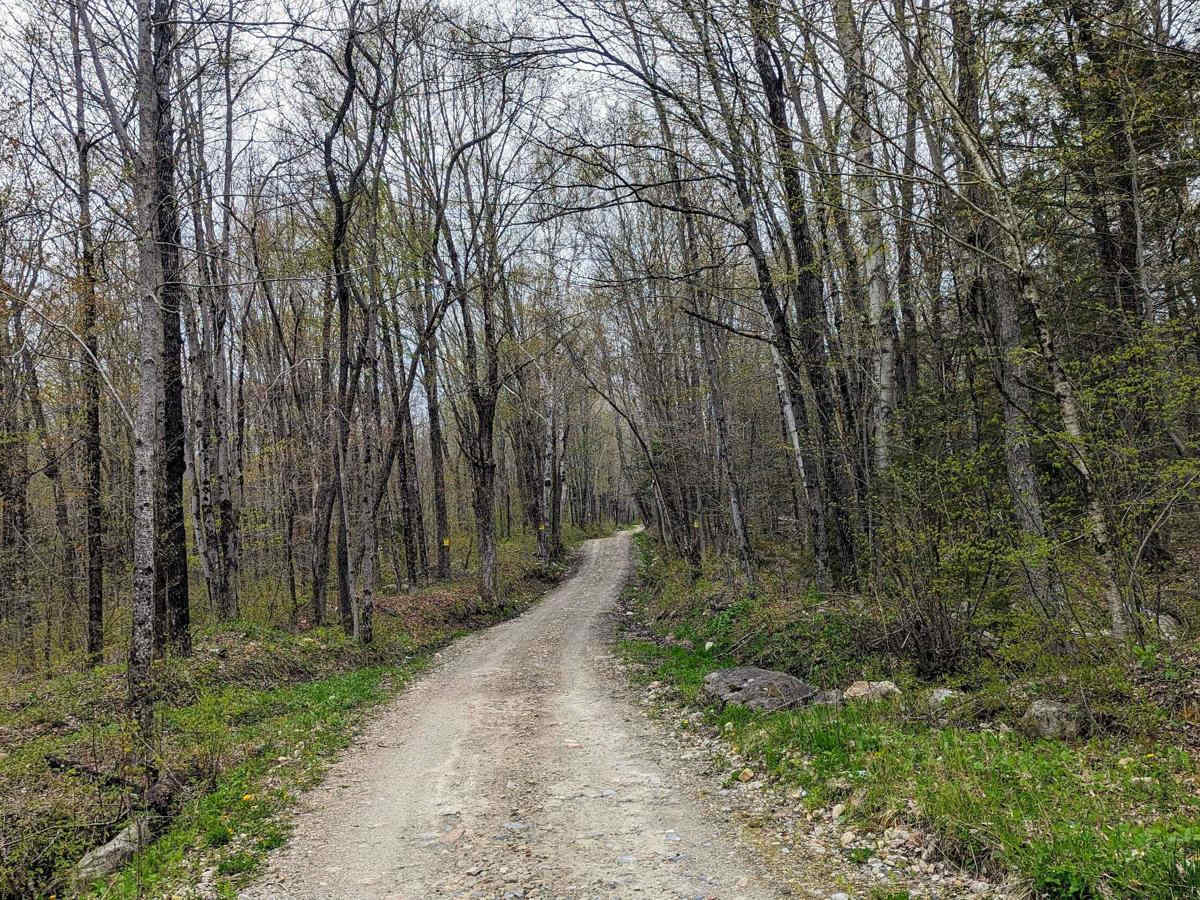 Risky Ranch Road (VT TR 302) photo 3