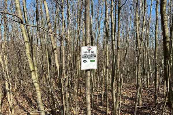 Locust Gap 44