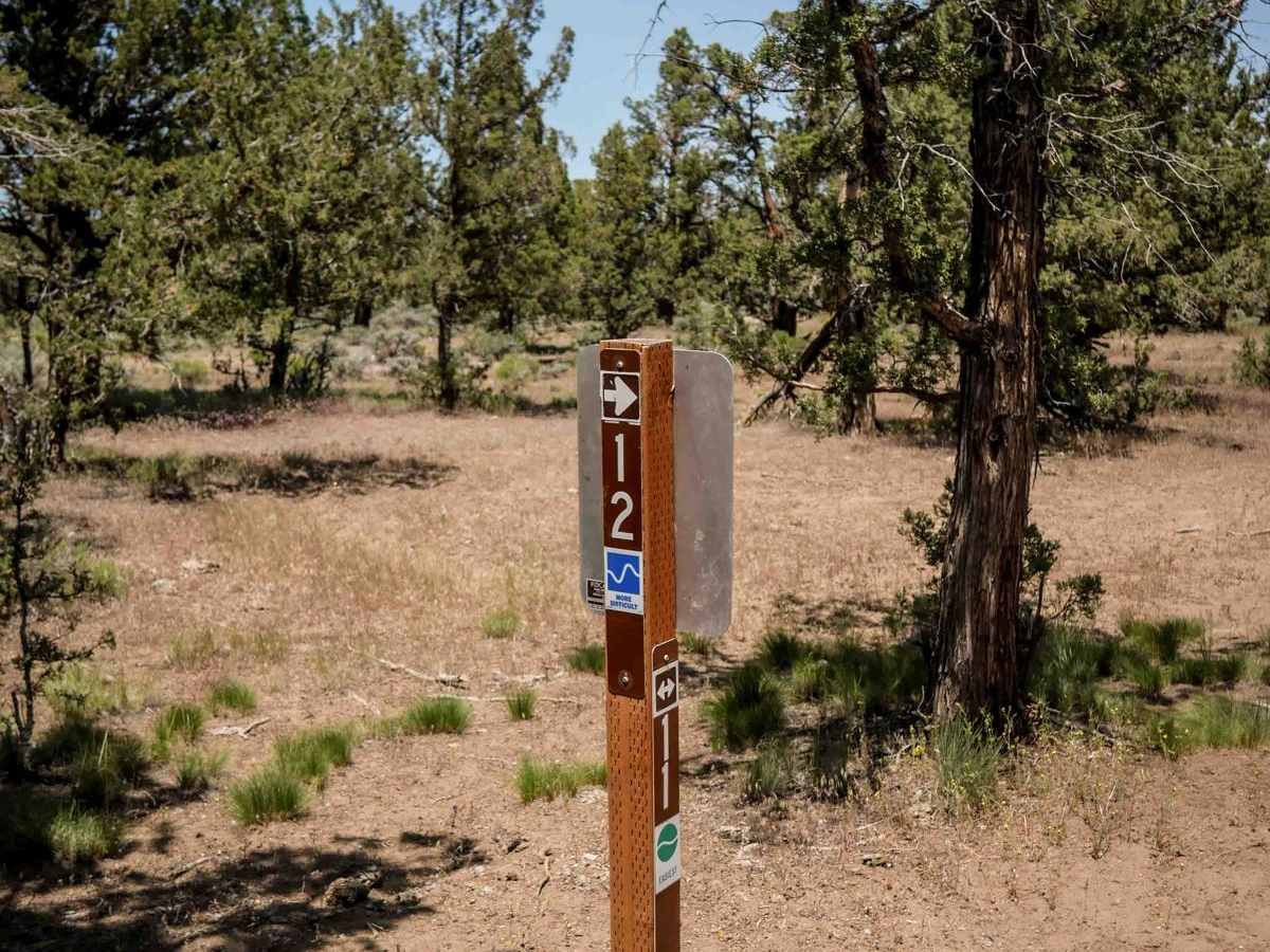 12 photo 3
