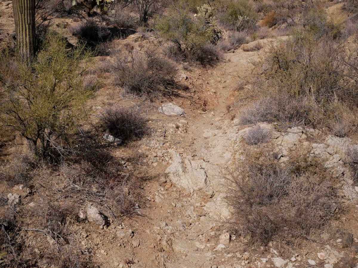 Sim's Trail trail photo