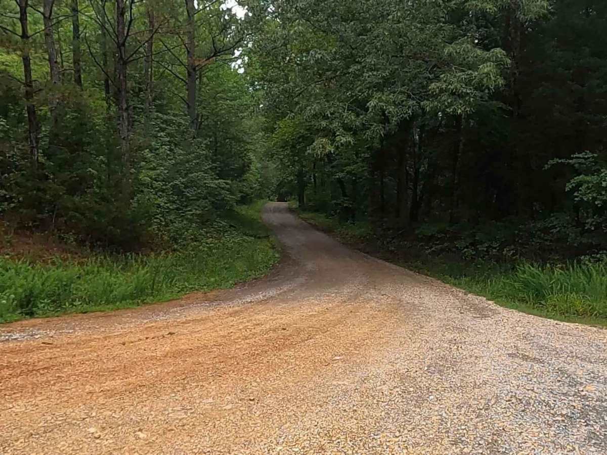 Bear Creek Road FSR 229 photo 3
