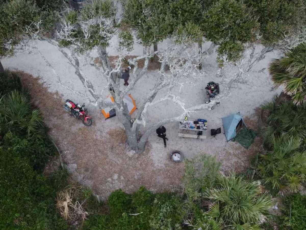 SCAR Connector - Edisto photo 5