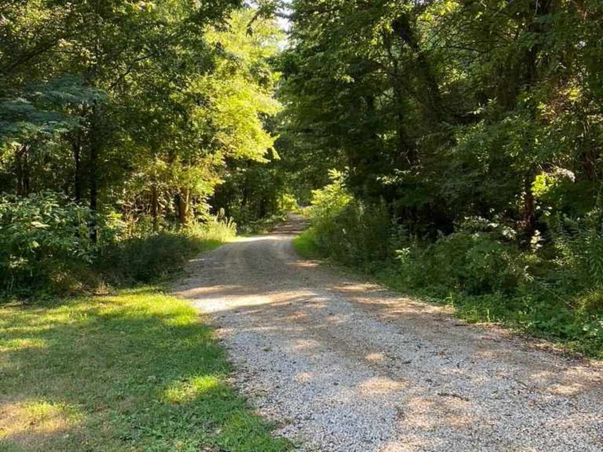 General Watkins Cemetery Road photo 5