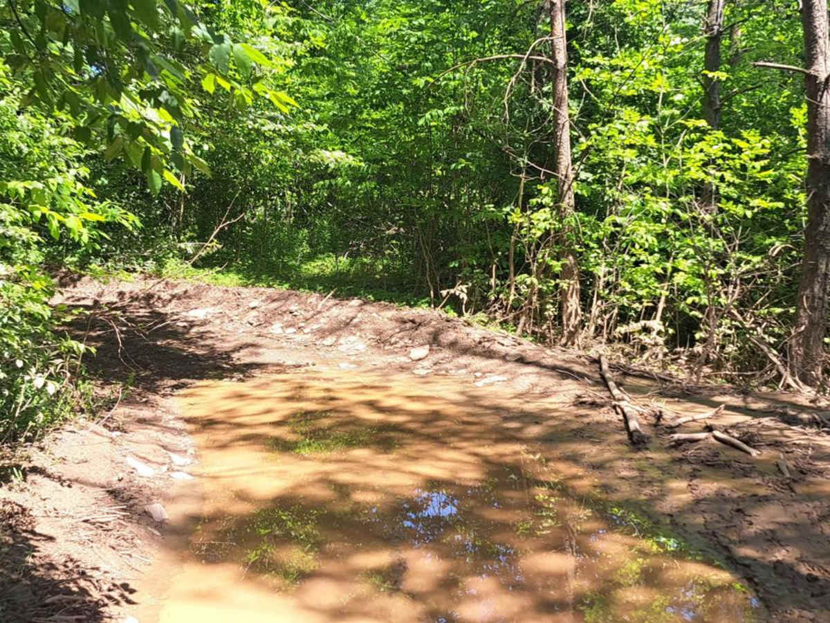 Caterpillar Crawl trail photo