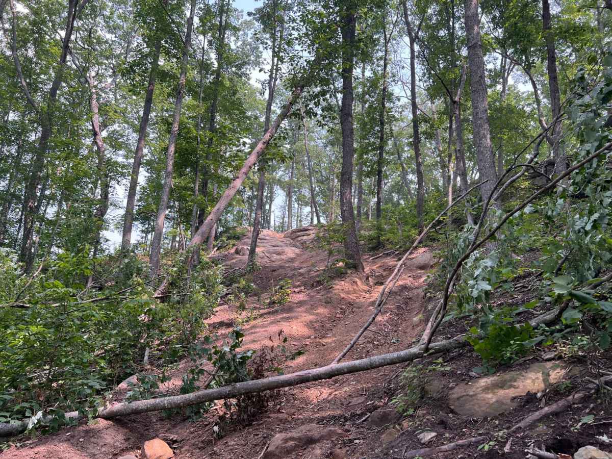 Trail 38 Hollerwood Tipsy Rock Overlook photo 5