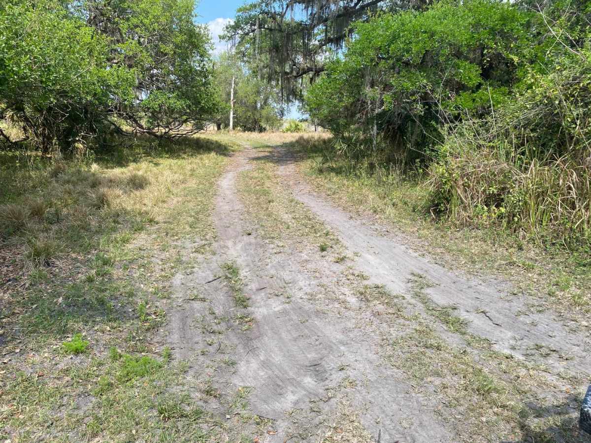 Road 6 photo 3
