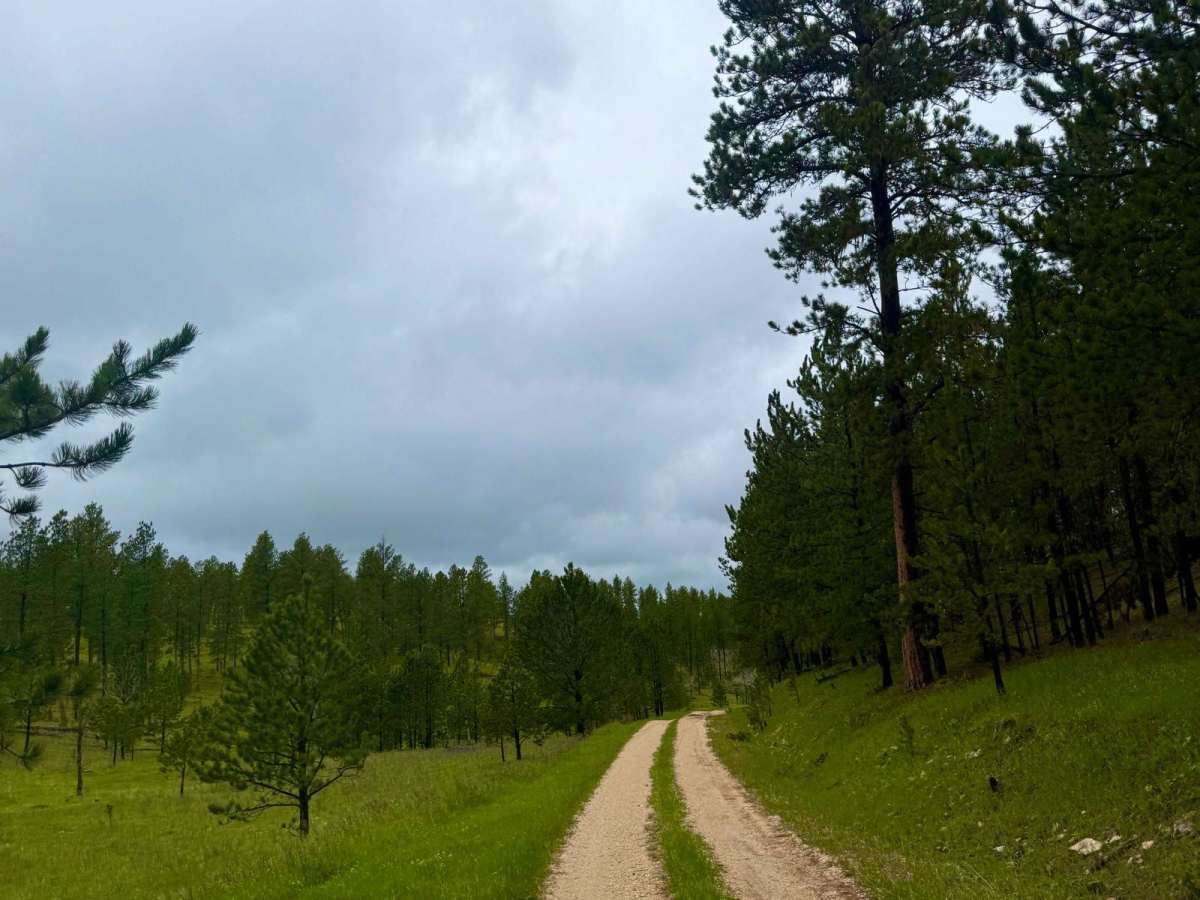 Heggie Spring Road photo 6