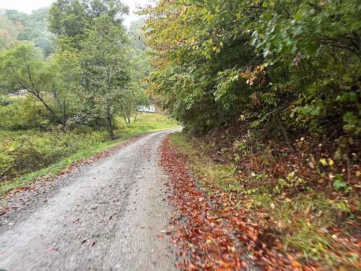 3 Green trail photo