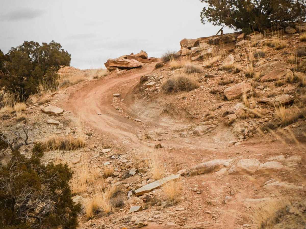 Trail 4 photo 4