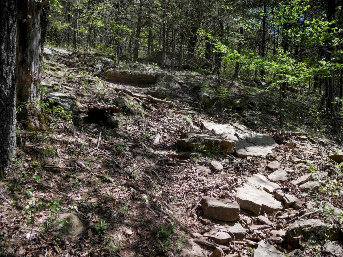 Brock 27 photo 2