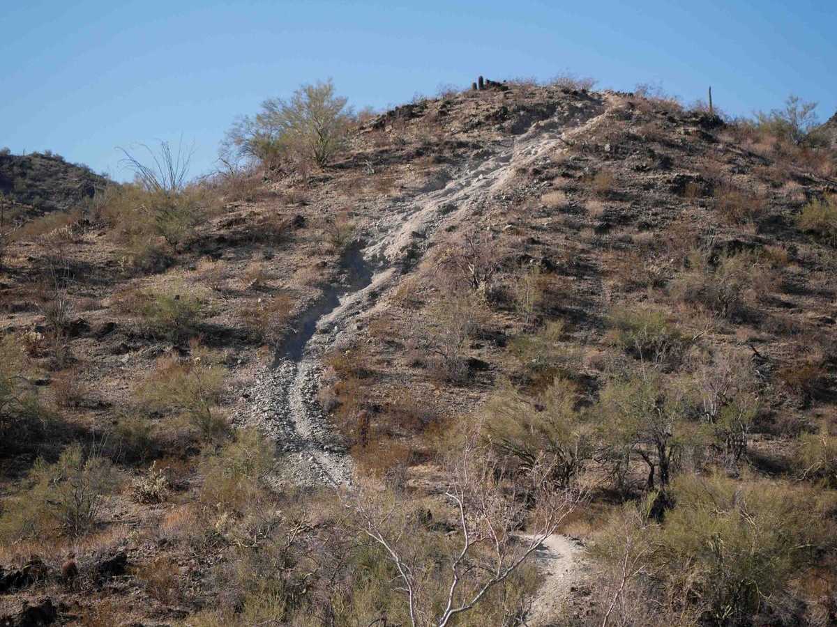 LP3 trail photo