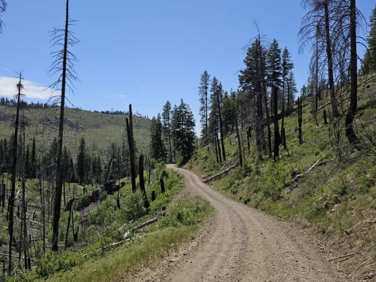 Boulder Road photo 6