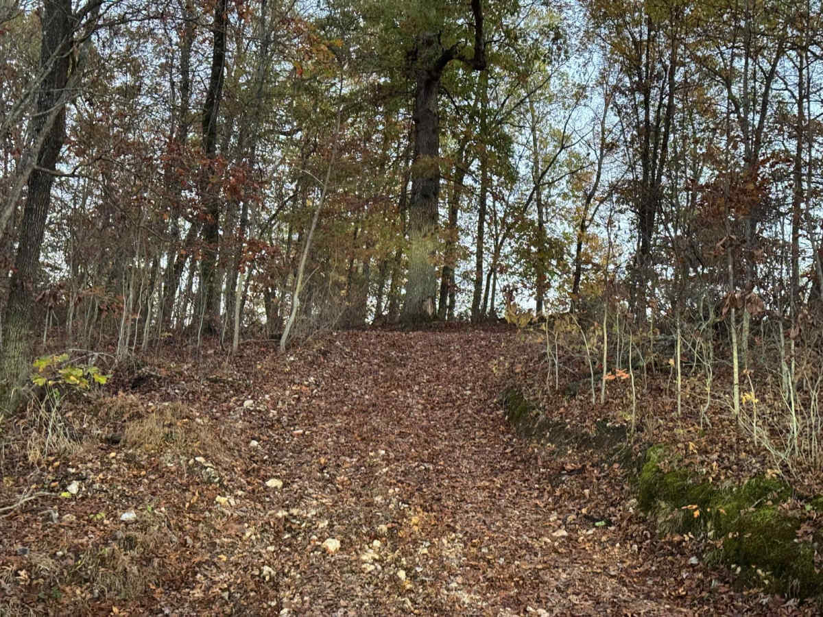 Green 162 photo 6