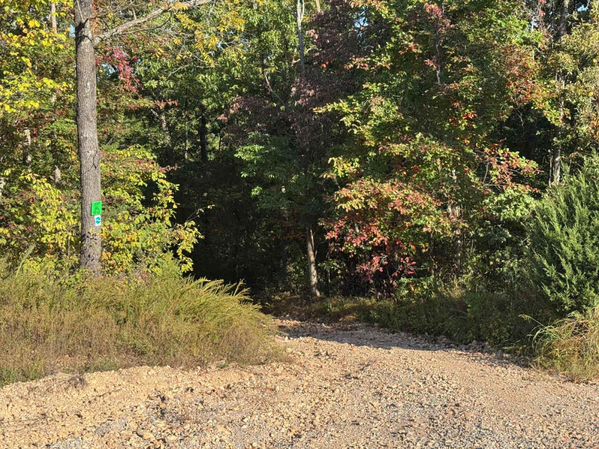 Green 1 trail photo
