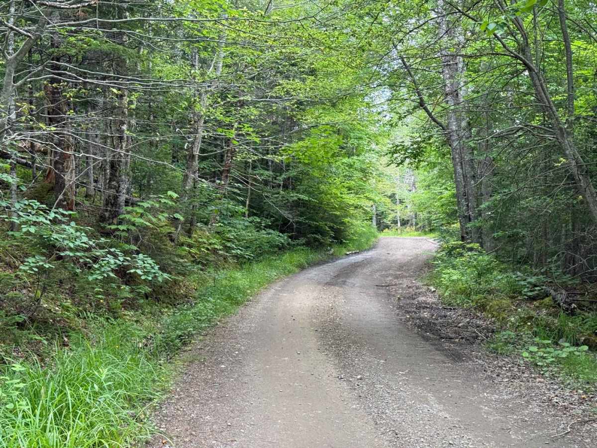 River Denys Mountain Road photo 3