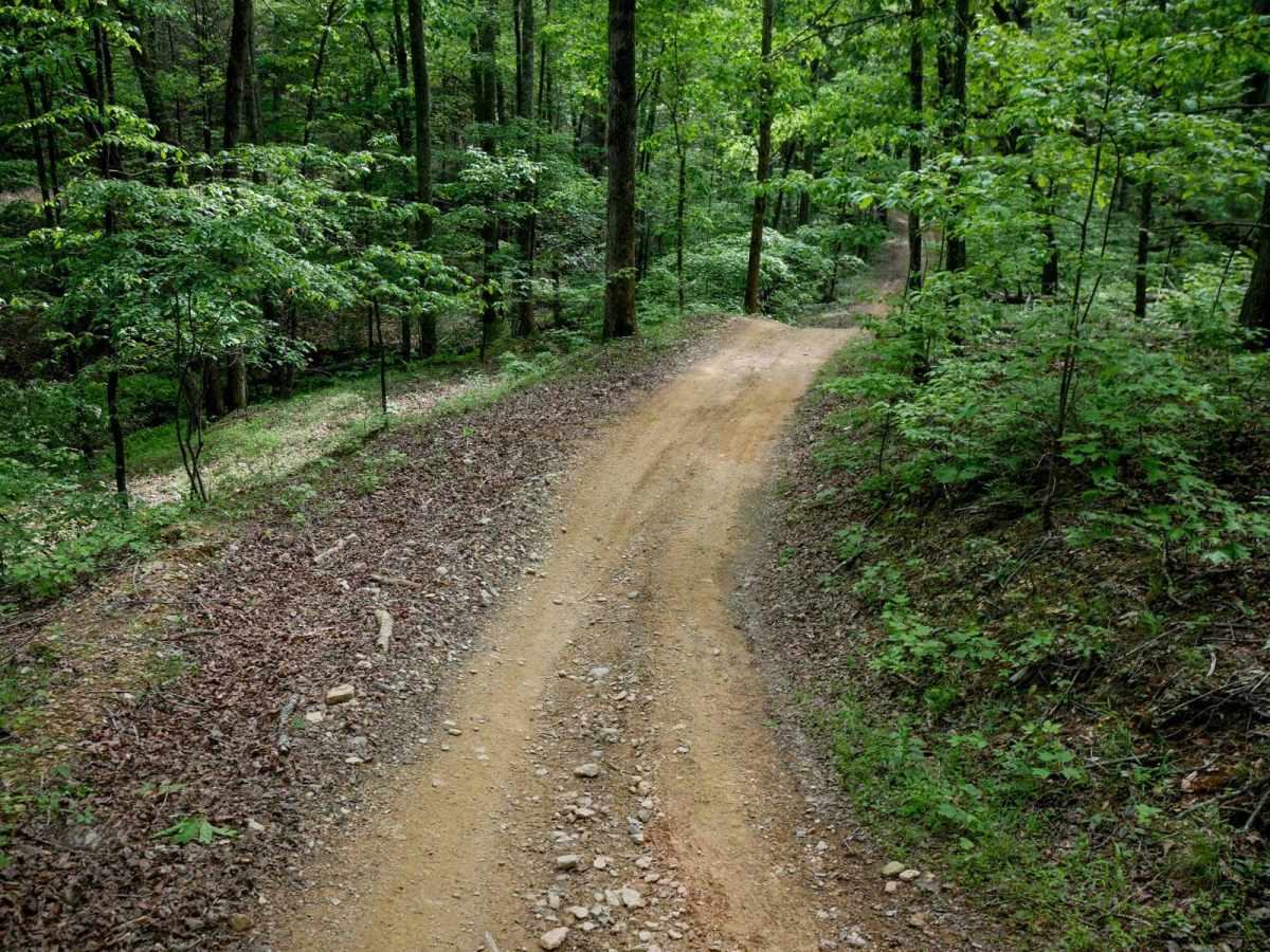 Otter trail photo