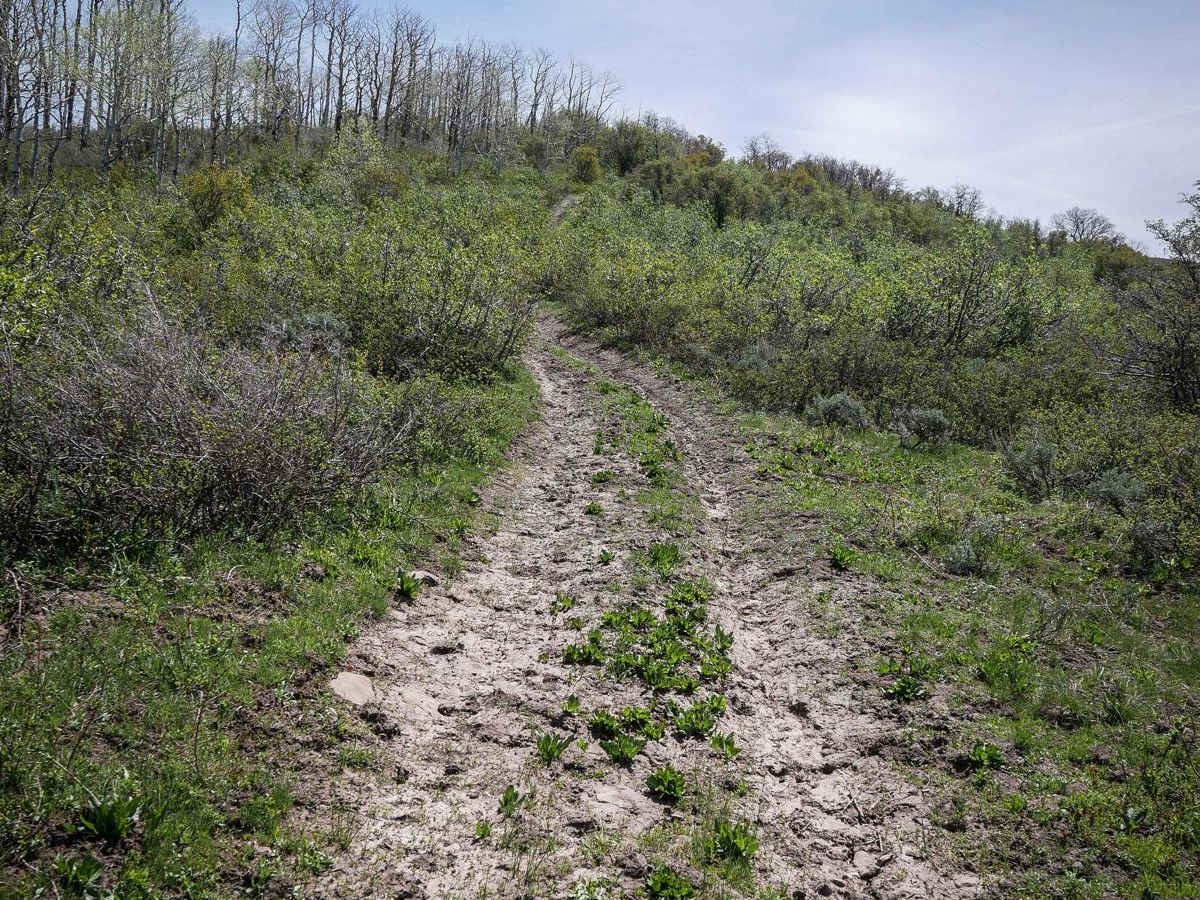 ATV Private photo 2