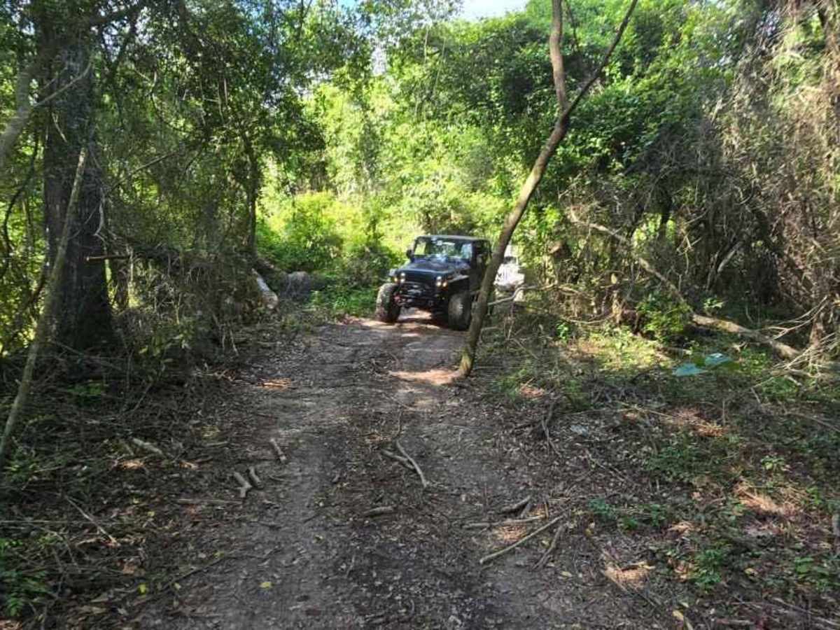Trail 3 photo 2