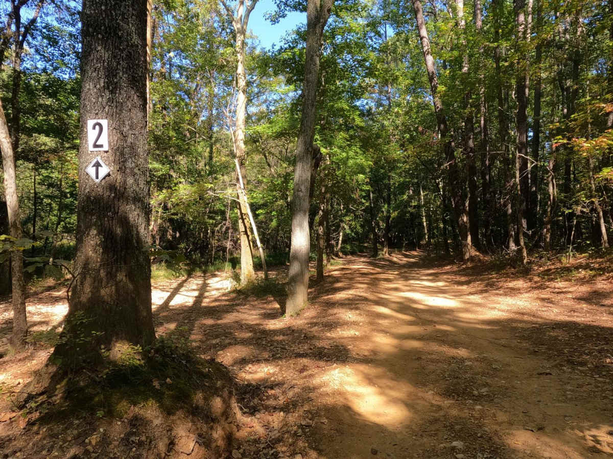 1 to 2 Road photo 5