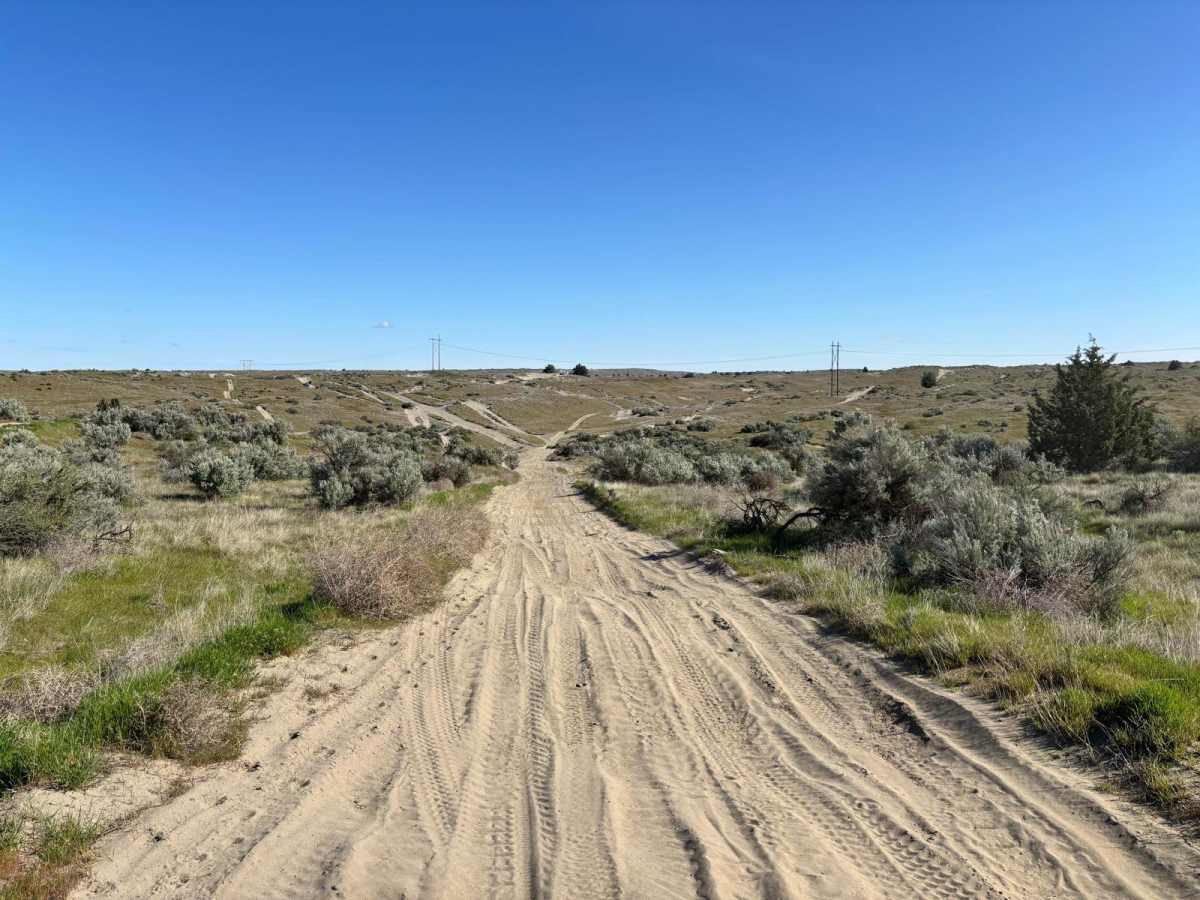 Wilderness Road photo 2