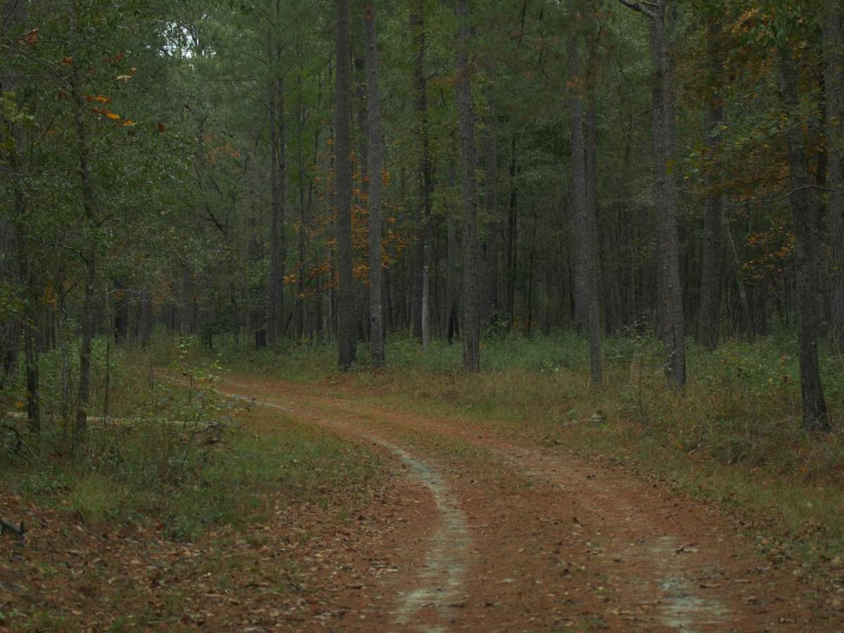 Donnelly WMA PT.3 photo 2