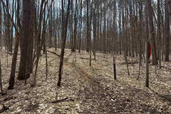 MCCCT - Lincoln Hills to Caberfae Spur