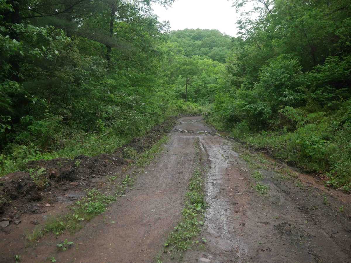 CC46 trail photo