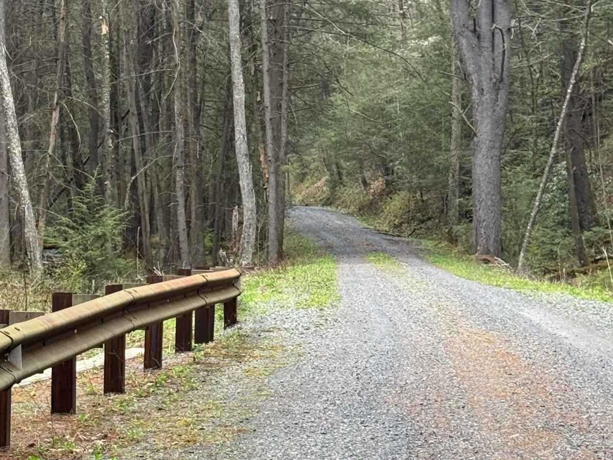 Trout Run Road North photo 4