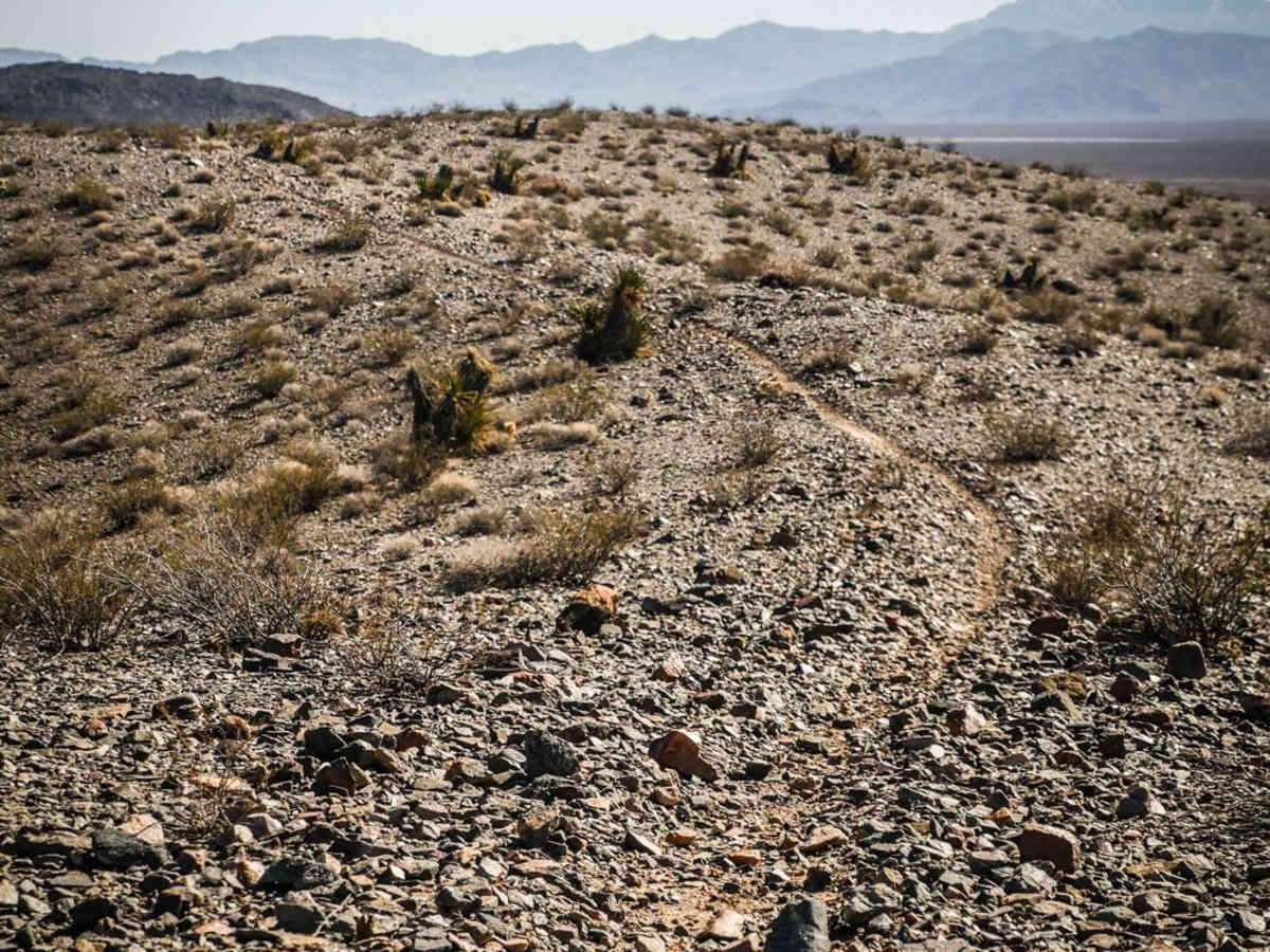Ridge Trail trail photo