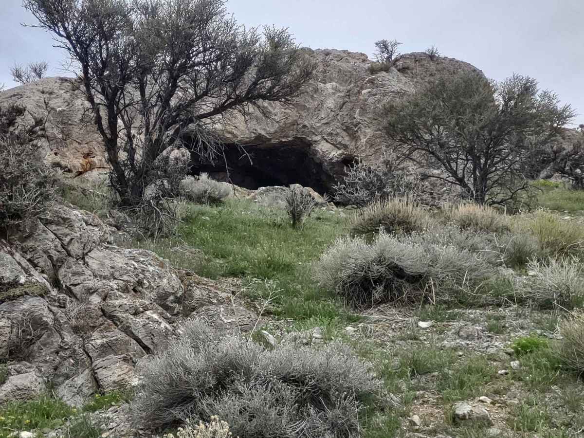 Hammond Canyon Spur photo 6