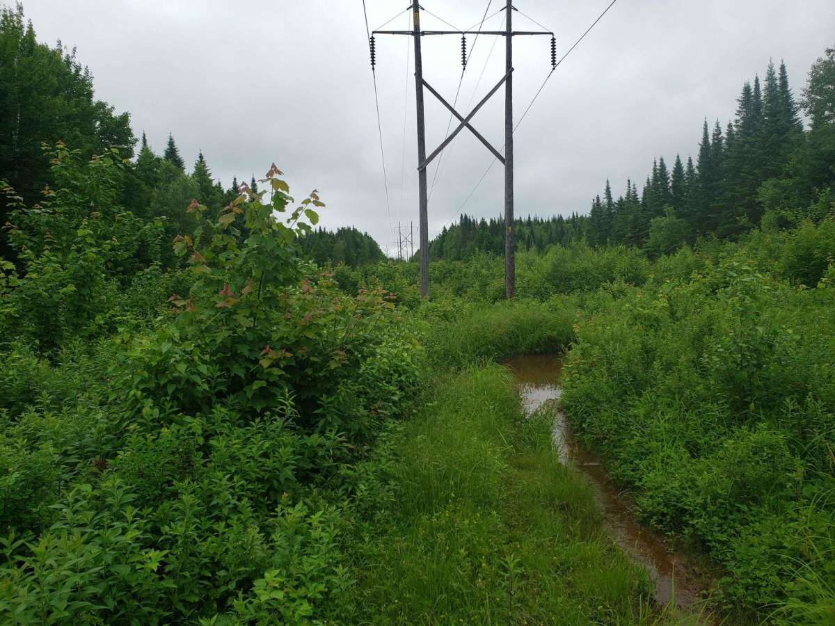 Maclean Settlement Road photo 3
