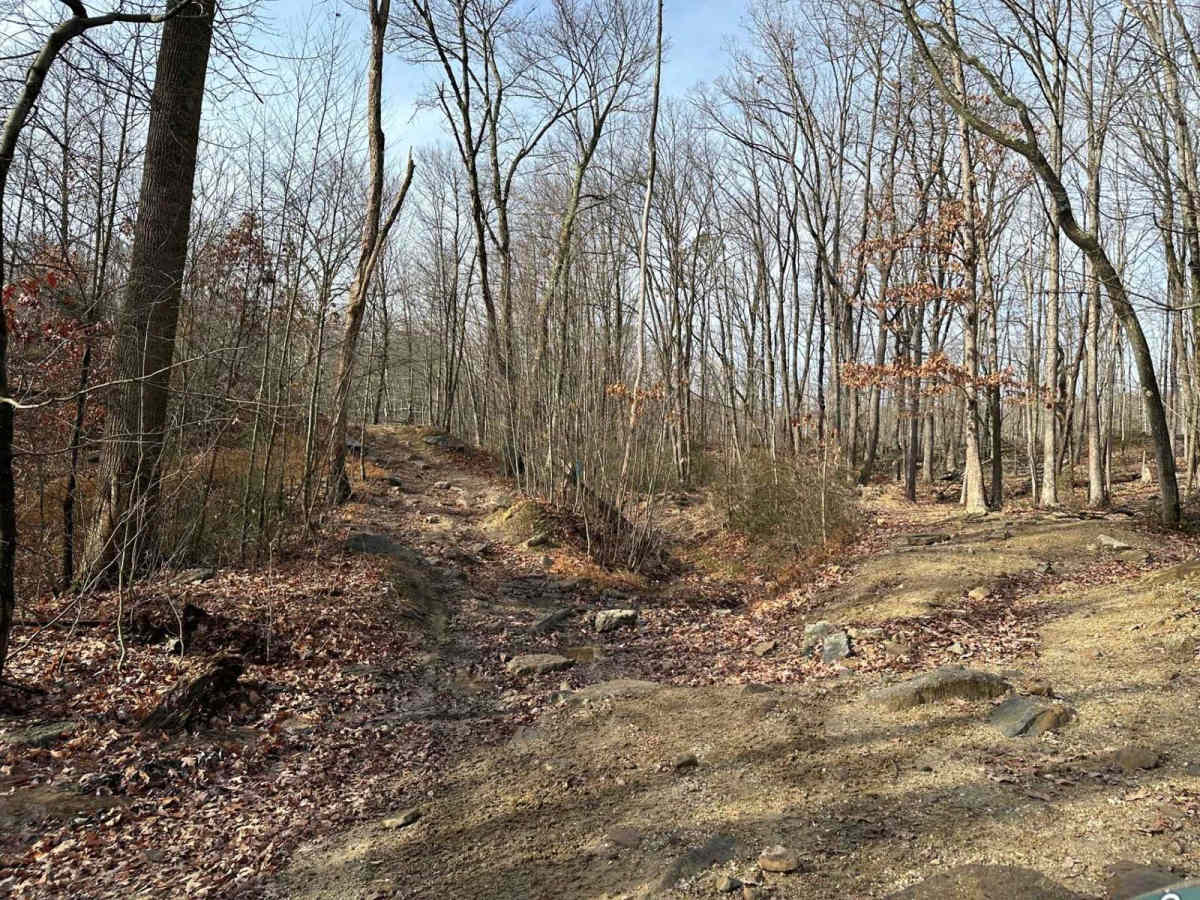 Wimzy Water Hole Trail photo 4