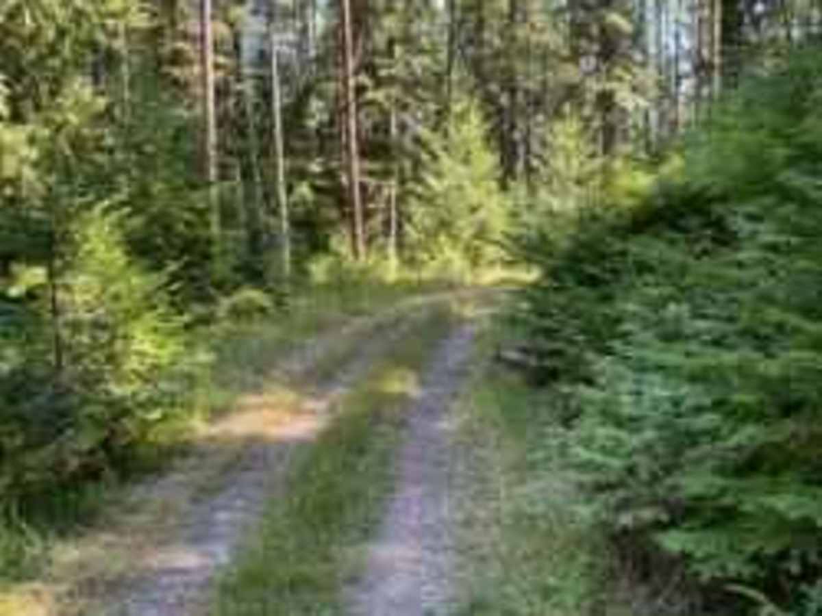 Ruby Creek photo 5