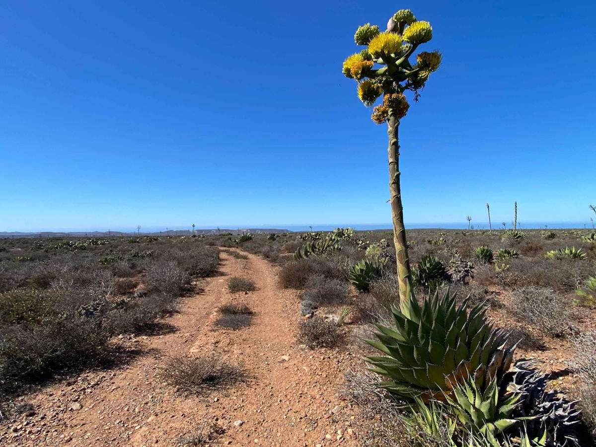 Valle Tranquilo Nature Reserve Loop trail photo