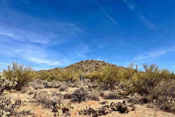 Coyote Peak West