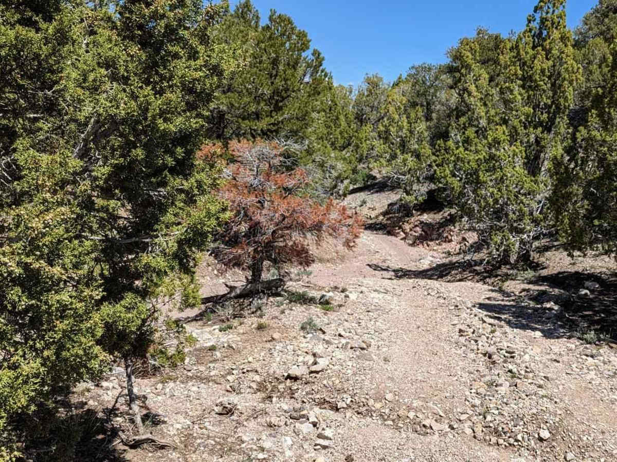 Lamerdorf Kiln Trail photo 3