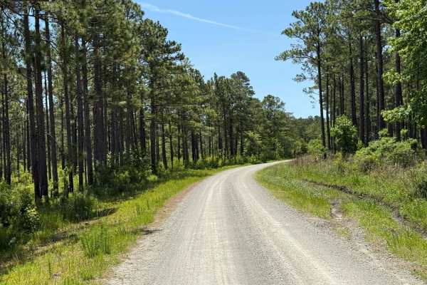 Pettiford Creek - FS 206
