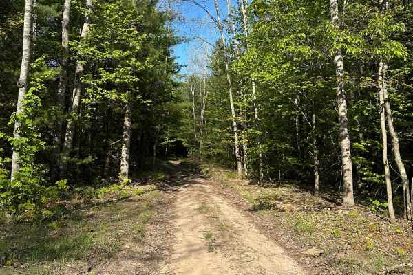 Wallin Road