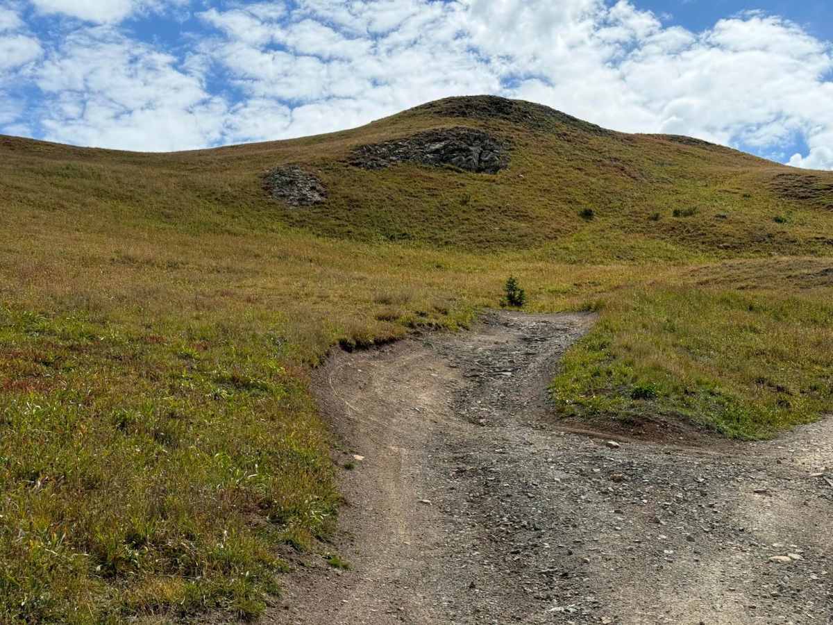 Levis Scenic Loop trail photo