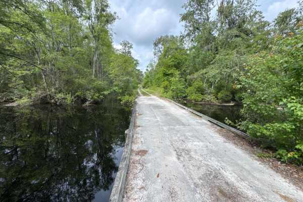 Little Suwannee Road - Osceola NF 291