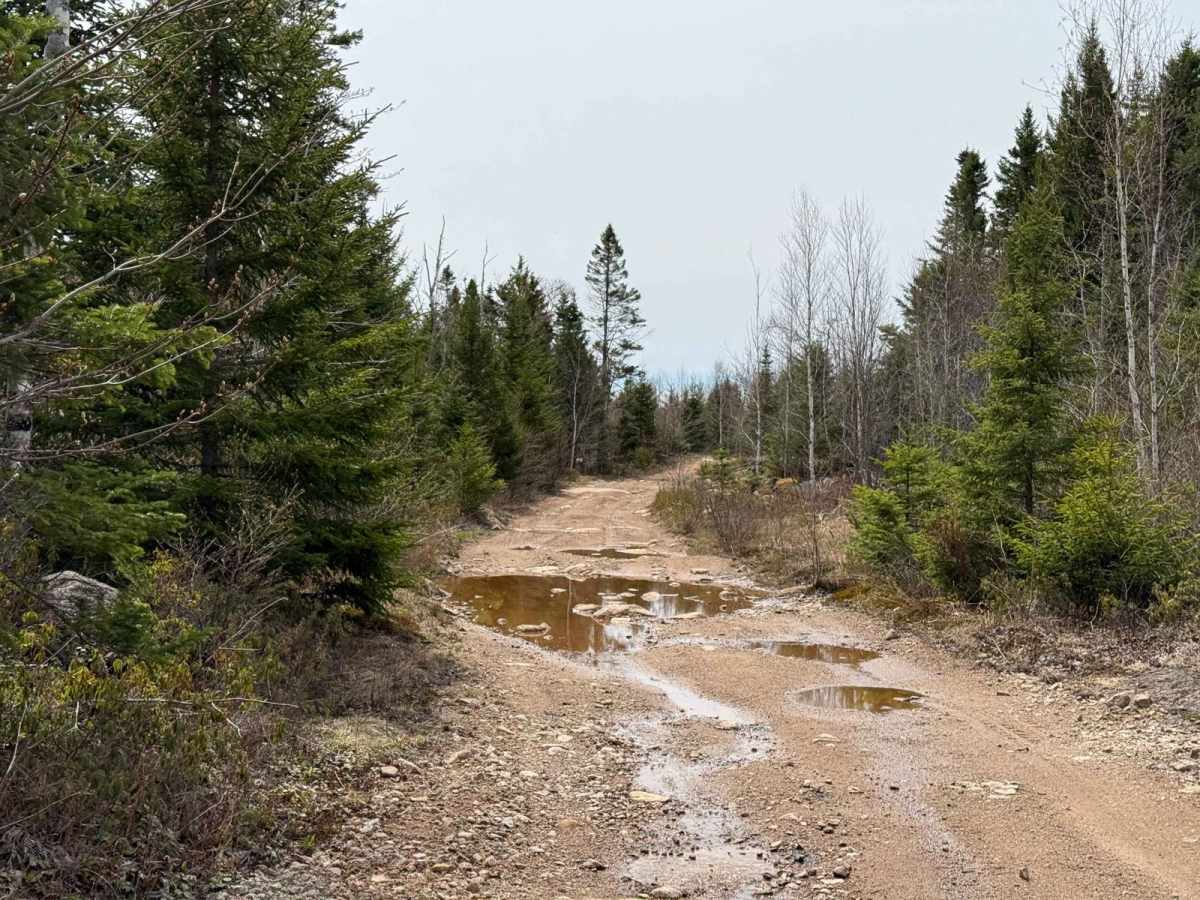 Route 12 trail photo