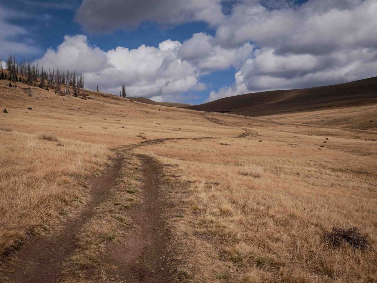 Perry Creek ATV trail photo