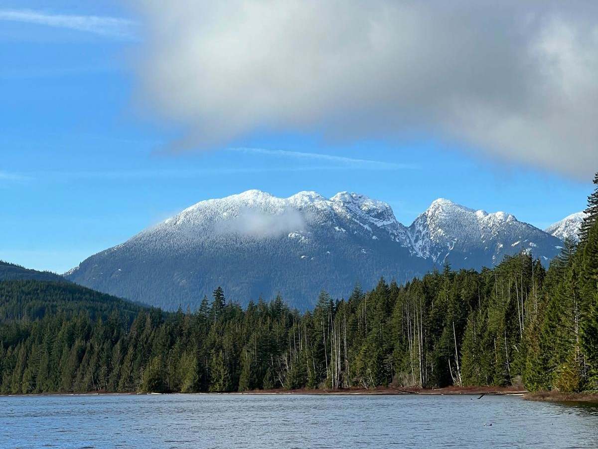 Stella Lake FSR photo 6