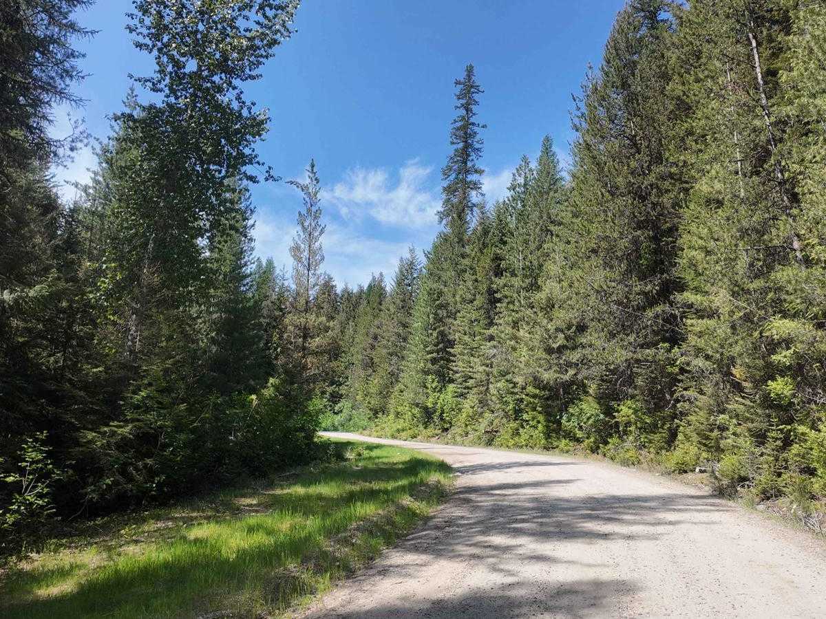Bugle Pass photo 6