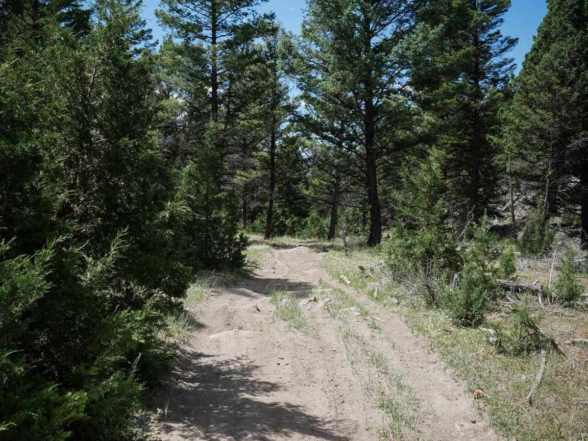 BLM 9 (Dry Creek Single Track) photo 6